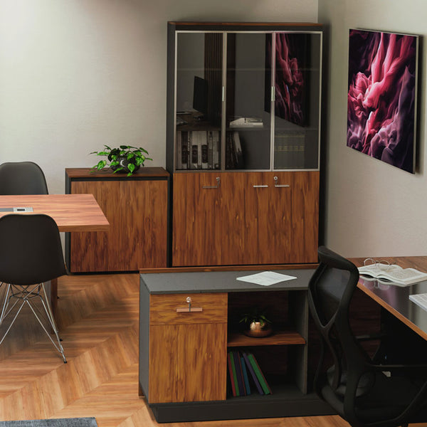 Biblioteca Oscar cu usi din sticla nuc, antracit, 120x40x200 cm