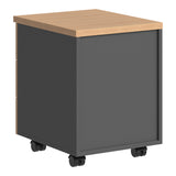 Corp mobil Fesialo, 39x47x53 cm - Natural-Antracit