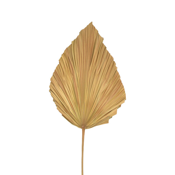 Frunza decorativa Walsy, palmier, H135cm, 42x135 cm