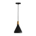 Lustra Jedren metal negru 18x18x100 cm