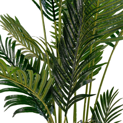 Palmier Areca 64x175x64 cm
