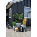 Palmier Areca 64x175x64 cm