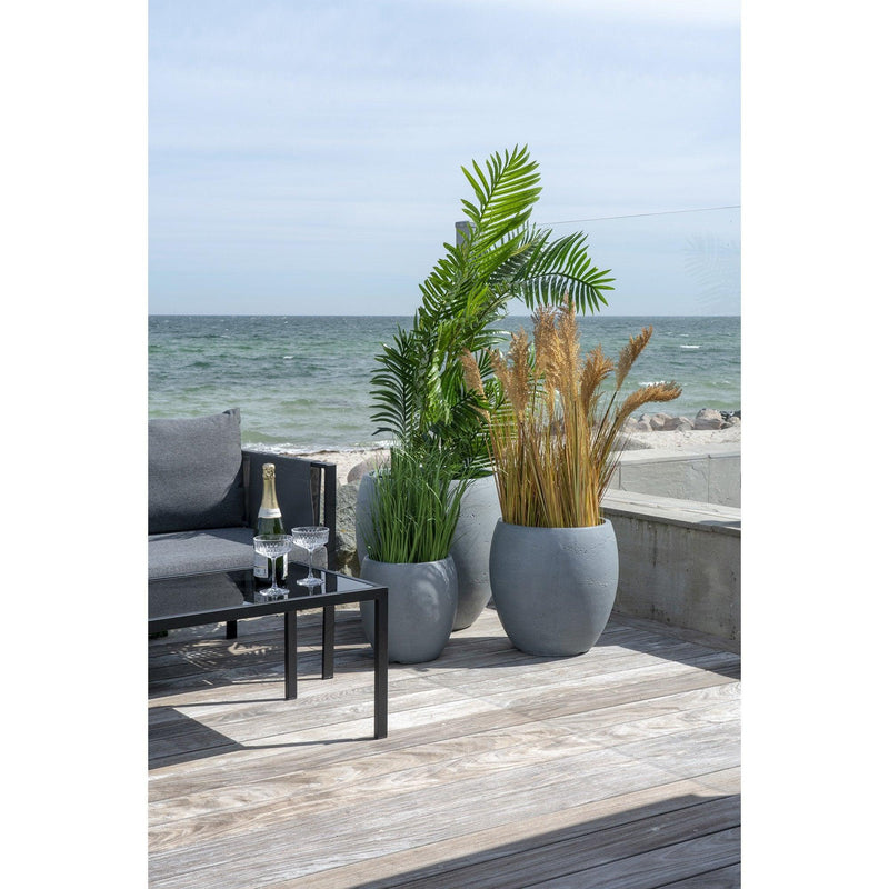 Palmier Areca 64x175x64 cm