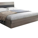 Pat de depozitare single Daizy, Gri nuc deschis, 120x200 cm