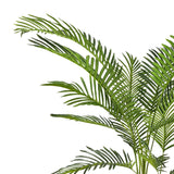 Planta decorativa Areca Ighiveci, verde, H120cm