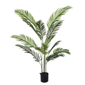 Planta decorativa Areca IIghiveci verde H150cm
