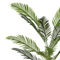 Planta decorativa Areca IIghiveci, verde, H150cm, imagine suplimentara