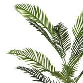 Planta decorativa Areca IIghiveci, verde, H150cm, imagine suplimentara