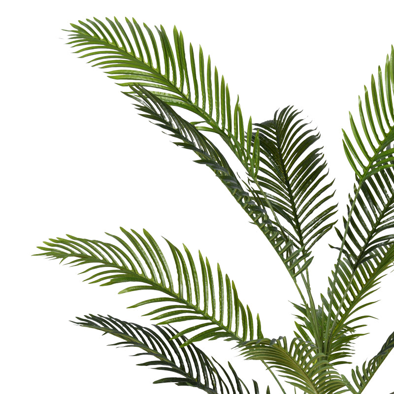Planta decorativa Areca IIghiveci, verde, H150cm, imagine suplimentara