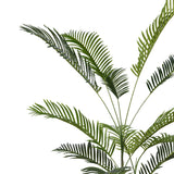 Planta decorativa Areca IIIghiveci, verde, H180cm