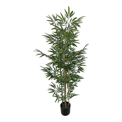 Planta decorativa Bamboo cu ghiveci, verde, H150 cm
