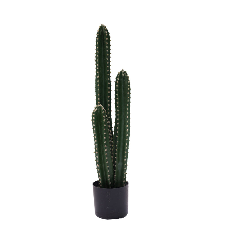 Planta decorativa Cactus IIIghiveci, verde, H85cm