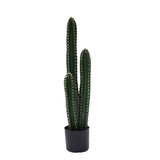 Planta decorativa Cactus IIIghiveci, verde, H85cm