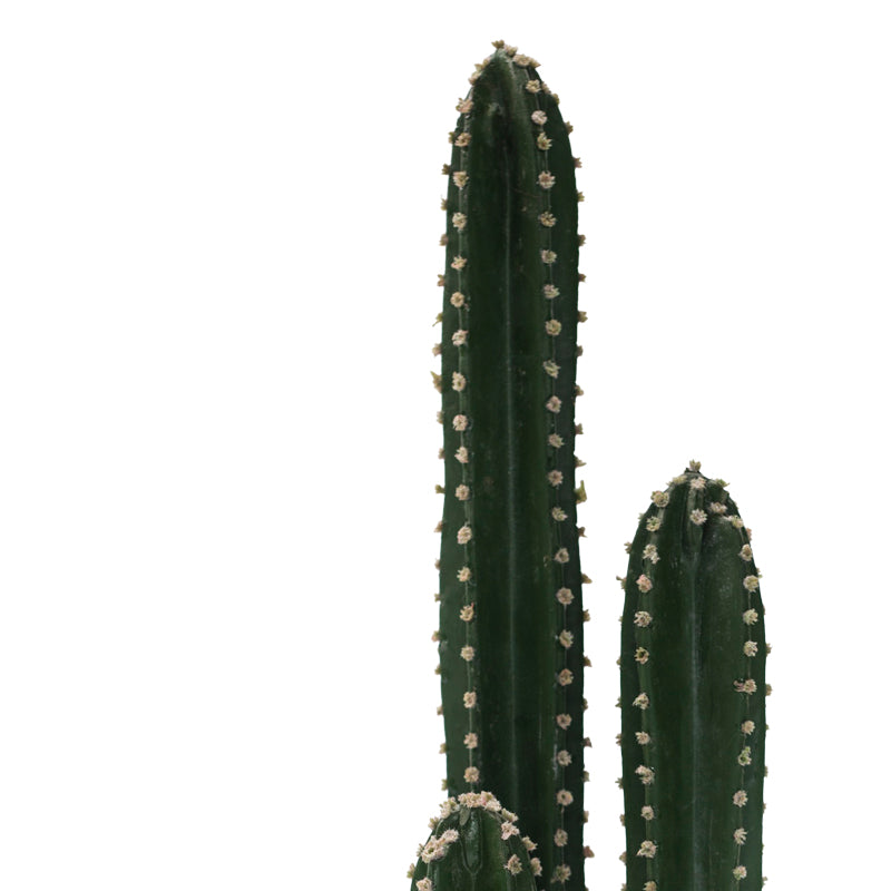 Planta decorativa Cactus IIIghiveci, verde, H85cm
