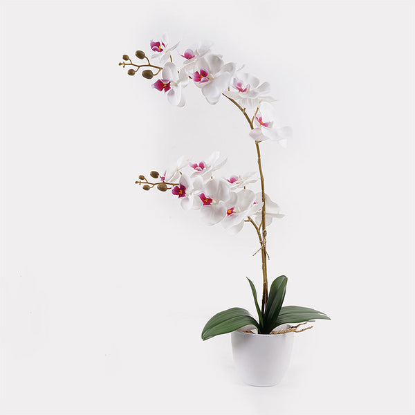 Planta decorativă cu floare orhidee White, Plastic, 36x17x65 cm