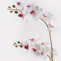 Planta decorativă cu floare orhidee White, Plastic, 36x17x65 cm, imagine suplimentara