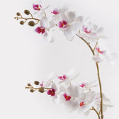 Planta decorativă cu floare orhidee White, Plastic, 36x17x65 cm, imagine suplimentara