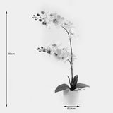 Planta decorativă cu floare orhidee White, Plastic, 36x17x65 cm