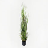 Plantă decorativă cu funcție de ornament Boxwood, Sintetic, Negru, 46x150 cm
