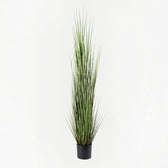 Planta Artificiala Plantă decorativă cu funcție de ornament Boxwood, Sintetic, 46x150 cm