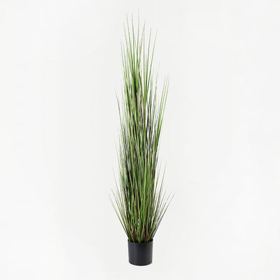 Planta Artificiala Plantă decorativă cu funcție de ornament Boxwood, Sintetic, 46x150 cm
