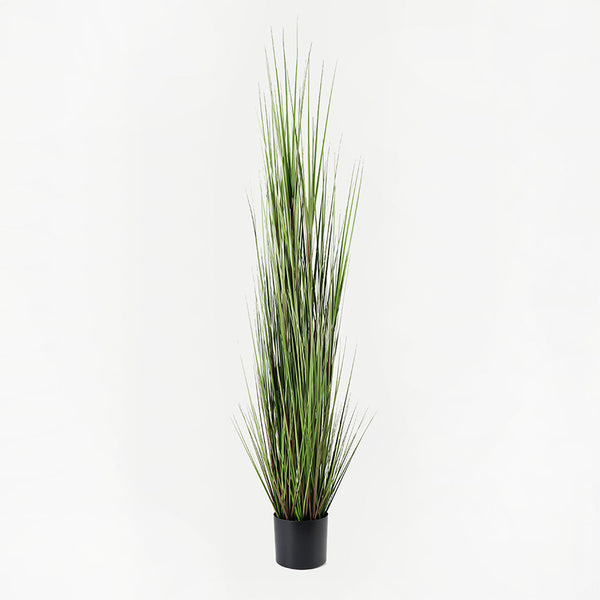 Plantă decorativă cu funcție de ornament Boxwood, Sintetic, Negru, 46x150 cm