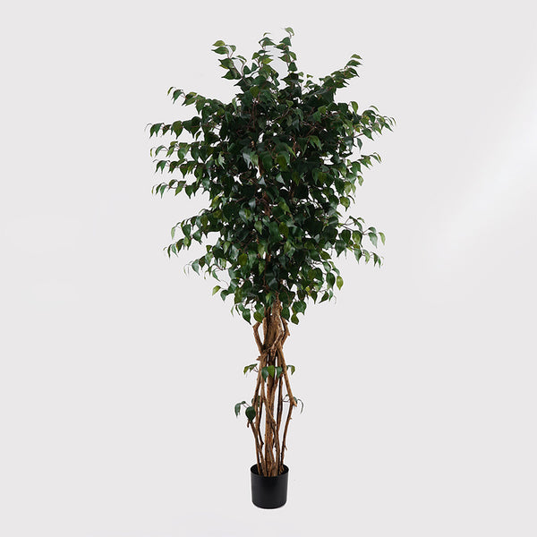 Planta decorativă cu ghiveci Banyan, Sintetic, Verde, 95x180 cm