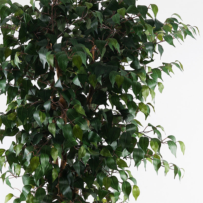 Planta decorativă cu ghiveci Banyan, Sintetic, Verde, 95x180 cm