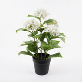 Planta Artificiala Plantă decorativă cu ghiveci Hydrangea, Alb, 35x50 cm