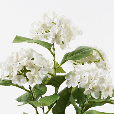Plantă decorativă cu ghiveci Hydrangea, Alb, 35x50 cm, imagine suplimentara