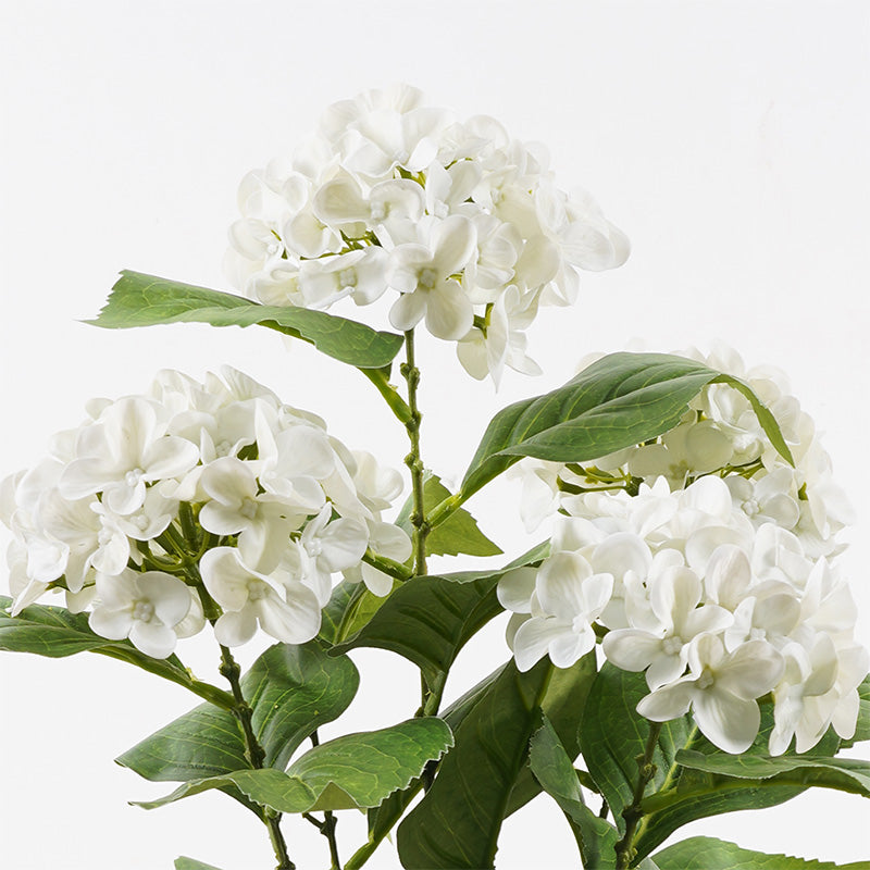 Plantă decorativă cu ghiveci Hydrangea, Alb, 35x50 cm, imagine suplimentara