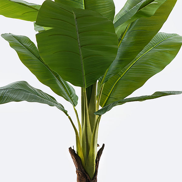 Plantă decorativă cu ghiveci Musa, Plastic, Negru, 105x180 cm