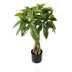 Planta Artificiala Plantă decorativă cu ghiveci Pachira, Verde, Plastic, 40x60 cm