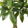 Plantă decorativă cu ghiveci Pachira, Verde, Plastic, 40x60 cm, imagine suplimentara