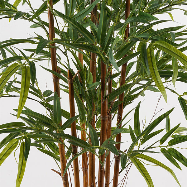 Plantă decorativă cu ghiveci Rhapis Palm, Plastic, Verde, 80x180 cm