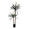 Planta decorativa Dracaena palma în ghiveci, Înaltime 125cm