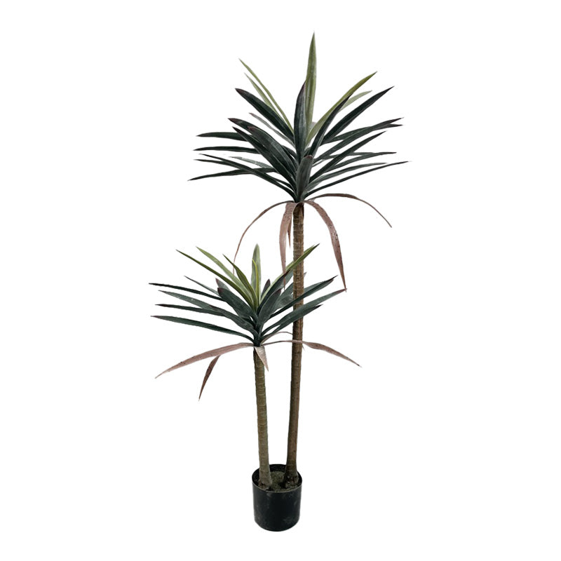Planta decorativa Dracaena palma în ghiveci, Înaltime 125cm