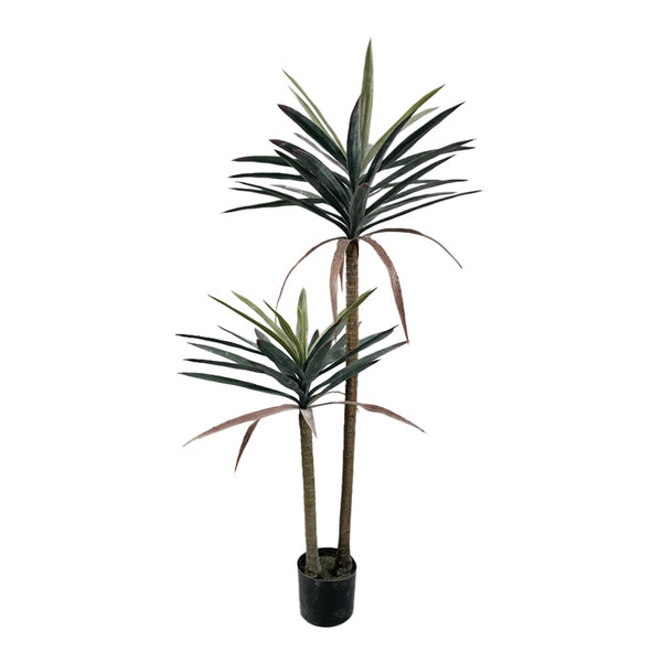 Planta decorativa Dracaena palma în ghiveci, Înaltime 125cm
