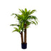 Planta decorativa Dracaenaghiveci verde H110cm