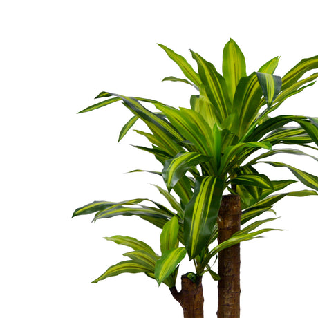 Planta decorativa Dracaenaghiveci, verde, H110cm