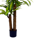 Planta decorativa Dracaenaghiveci, verde, H110cm