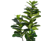 Planta decorativa Fiddlehead Ighiveci, verde, H180cm