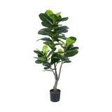 Planta decorativa Fiddleheadghiveci, verde, H120cm