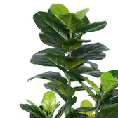 Planta decorativa Fiddleheadghiveci, verde, H120cm, imagine suplimentara