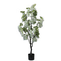 Planta decorativa Floarea de fasoleghiveci alb 125 cm