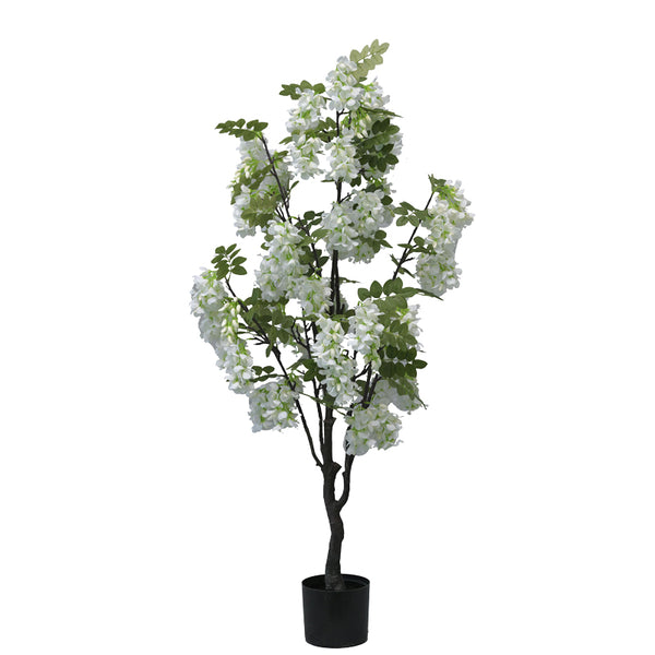 Planta decorativa Floarea de fasoleghiveci, alb, 125 cm