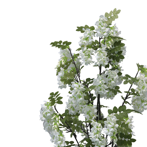 Planta decorativa Floarea de fasoleghiveci, alb, 125 cm