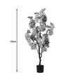 Planta decorativa Floarea de fasoleghiveci, alb, 125 cm, perspectiva suplimentara