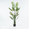 Planta decorativă în ghiveci Aglaonema, verde, plastic, 80x150 cm