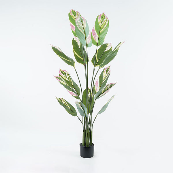 Planta decorativă în ghiveci Aglaonema, plastic, verde, 80x150 cm